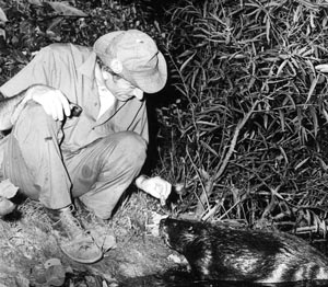 Cavit Buyukmihci with beaver, Unexpected Wildlife Refuge photo