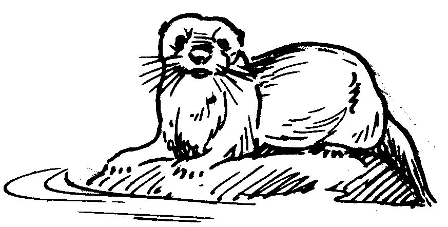 Winter otter