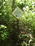 American grass spider tunnel next to Refuge sign near Miller Pond (Jul 2020)