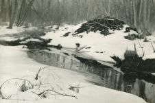 Beaver lodge with snow, photo by Hope Sawyer Buyukmihci (1966)