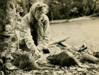 Beavers we called Goldie and Fluffy and Hope Sawyer Buyukmihci, photo by Al Francesconi (1965)