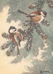 Chickadees, original artwork by Edmund J Sawyer