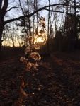 Goldenrod at sunset, Unexpected Wildlife Refuge photo