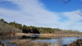 Main pond and beaver lodges, photo by Jeff Hrusko (Feb 2018)