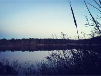 Main pond at dusk, Unexpected Wildlife Refuge photo