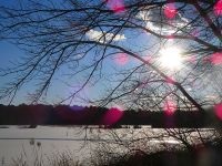 Main pond, frozen, near sunset, Unexpected Wildlife Refuge photo