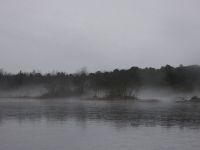 Main pond and fog, Unexpected Wildlife Refuge photo