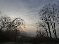 Morning fog over main pond, Unexpected Wildlife Refuge photo