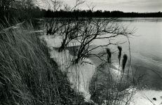 Main pond on a cold winter day in 1979, photo by New Brunswick Home News