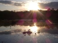 Sunset over main pond