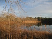 Main pond at sunset, photo by Dave Sauder