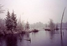 Winter scene at main pond