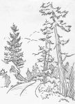 Trees, sketch by Hope Sawyer Buyukmihci, Refuge co-founder and artist
