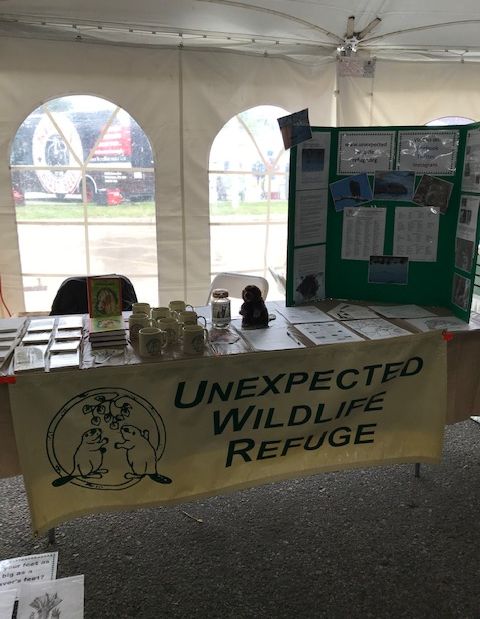 Refuge table at ACUA Earth Day Festival, Unexpected Wildlife Refuge photo