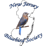 NJ Bluebird Society Logo