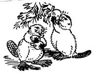 Beaver kits, sketch by Hope Sawyer Buyukmihci, Refuge co-founder and artist