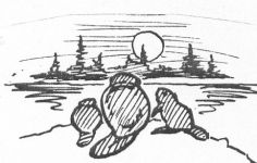 Beaver sketch by Hope Sawyer Buyukmihci, Refuge co-founder