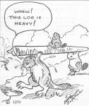 Beaver cartoon by Hope Sawyer Buyukmihci, Refuge co-founder