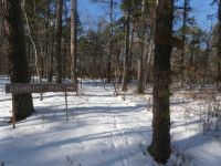 Boundary trail in snow, Unexpected Wildlife Refuge photo