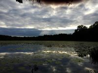 Sunshine breaking through clouds over main pond, Unexpected Wildlife Refuge photo