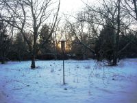 Field and woods in snow, Unexpected Wildlife Refuge photo