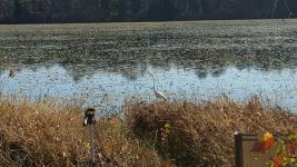 Unexpected Wildlife Refuge photo