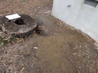 Groundhog burrow at headquarters, Unexpected Wildlife Refuge photo