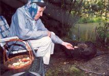 Hope Sawyer Buyukmihci feeding beaver