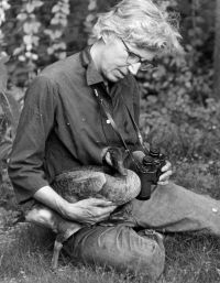 Canada goose and co-founder Hope Sawyer Buyukmihci, Unexpected Wildlife Refuge photo