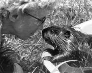 Chopper and Hope Sawyer Buyukmihci, Unexpected Wildlife Refuge photo