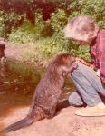 Chopper and Hope Sawyer Buyukmihci, Unexpected Wildlife Refuge photo