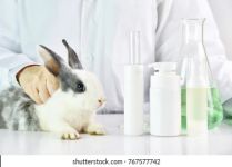 Lab testing on rabbit, Shutterstock stock photo