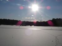 Main pond frozen, covered in snow and paw prints, Unexpected Wildlife Refuge photo