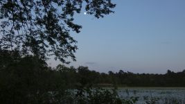 Full moon over main pond, Unexpected Wildlife Refuge photo