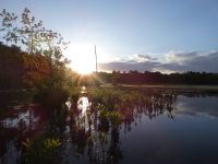 Sunset over main pond, Unexpected Wildlife Refuge photo