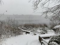 Snow-covered main pond, Unexpected Wildlife Refuge photo