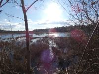 Miller Pond winter day