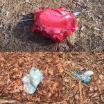 Mylar and other balloon pollution, Unexpected Wildlife Refuge photo