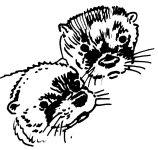 Otter faces drawing by co-founder Hope Sawyer Buyukmihci