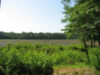 View of the main pond