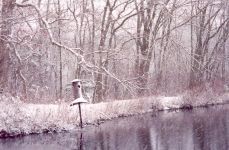 Main pond on a snowy day in November 2008, Unexpected Wildlife Refuge photo