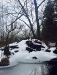 Snow covered beaver lodge, Unexpected Wildlife Refuge photo