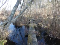 Concrete walkway on Bluebird Trail