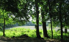 View from headquarters, Unexpected Wildlife Refuge photo